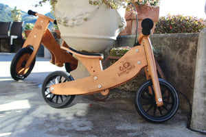 2-in-1 Tiny Tot Tricycle & Bike Bamboo -OUTLET