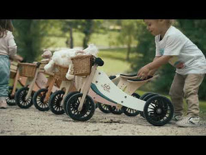 2-in-1 Tiny Tot Tricycle & Bike Bamboo