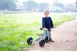 2-in-1 Tiny Tot Tricycle & Bike Sage