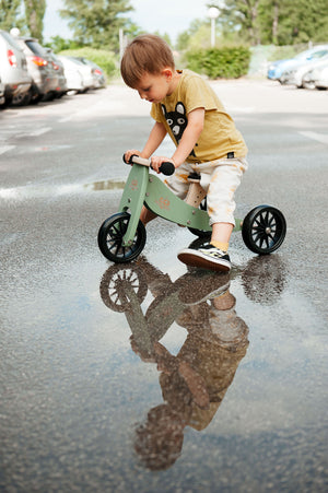 2-in-1 Tiny Tot Tricycle & Bike Sage